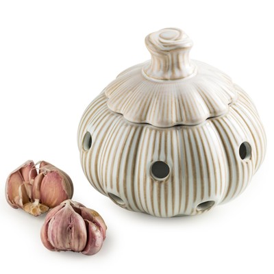 Garlic Storage Pod Ceramic Garlic Keeper with Lid Large Garlic Container for ...