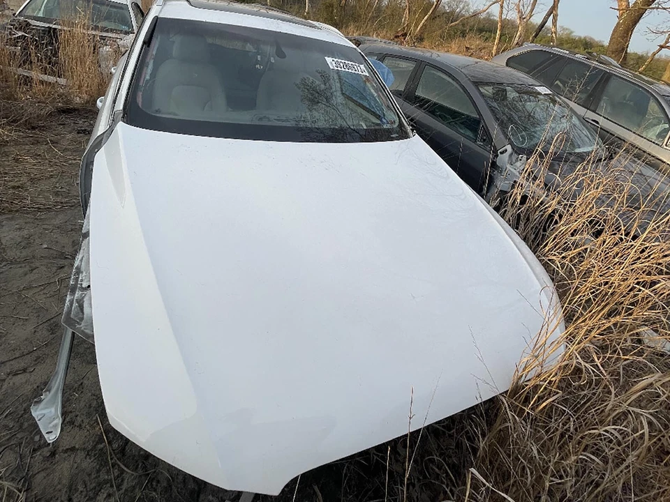 2009 - 2012 Audi Q5 8R 3.2L Rocker Panel Molding Left Driver Side Lh Rear Oem Foto 4 de 4