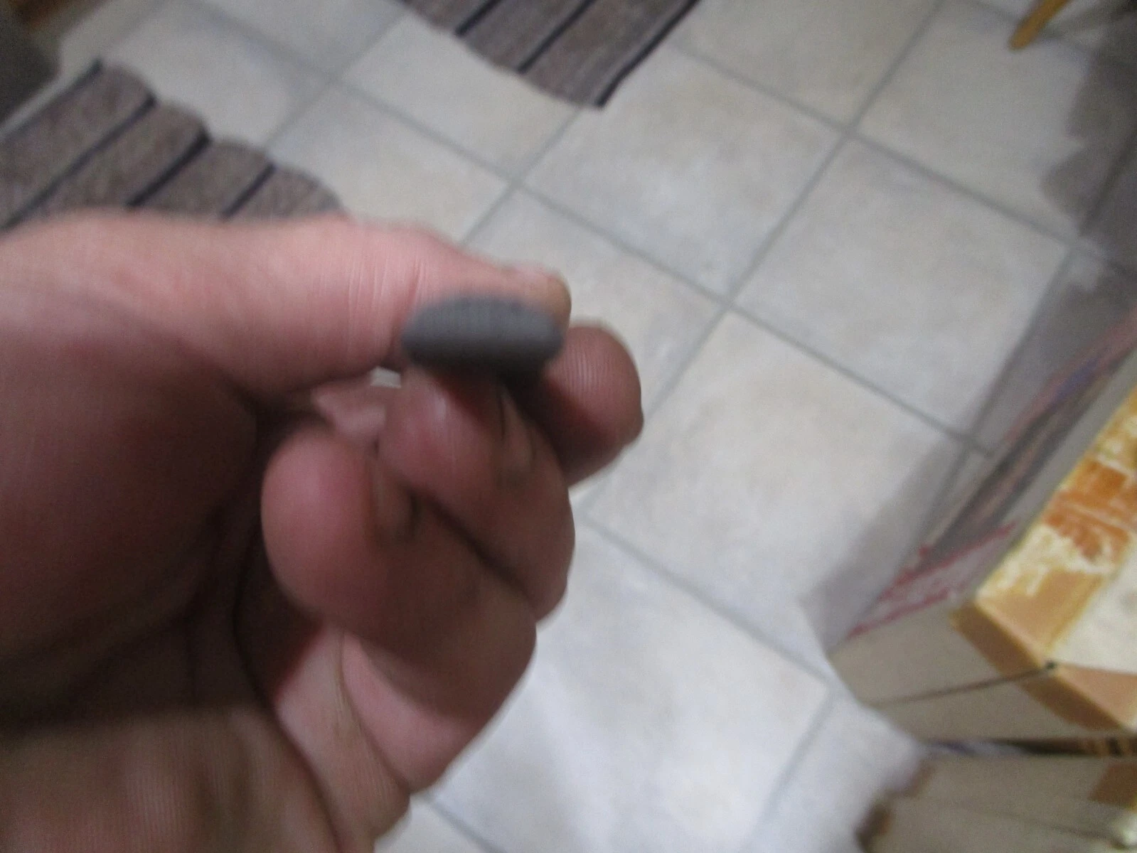 Picture 5 of 5