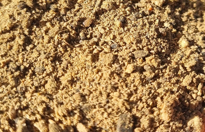 Engrais organique TERRALBA protège et booste la croissance - 2