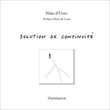 Solution de continuité von dUrso, Nine | Buch | Zustand gut