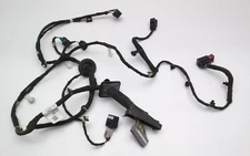 2014 Buick Encore wire harness right front door OEM 95385941