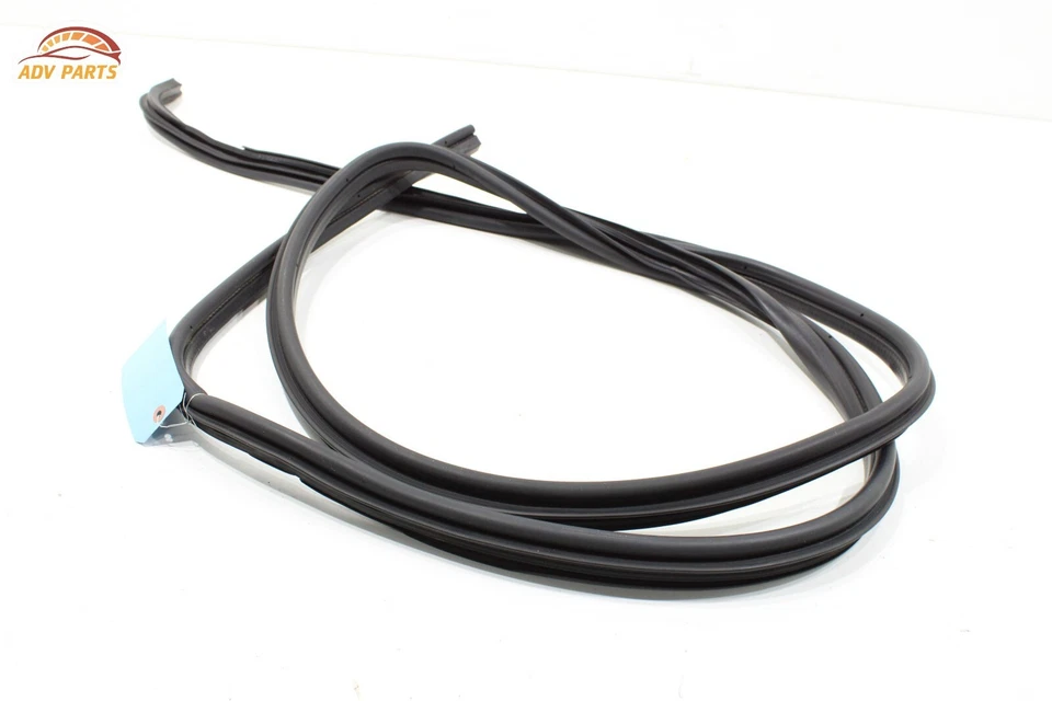 Chevrolet Express 3500 2500 1500 2003-2024 puerta delantera izquierda carrocería sello OEM Foto 3 de 4