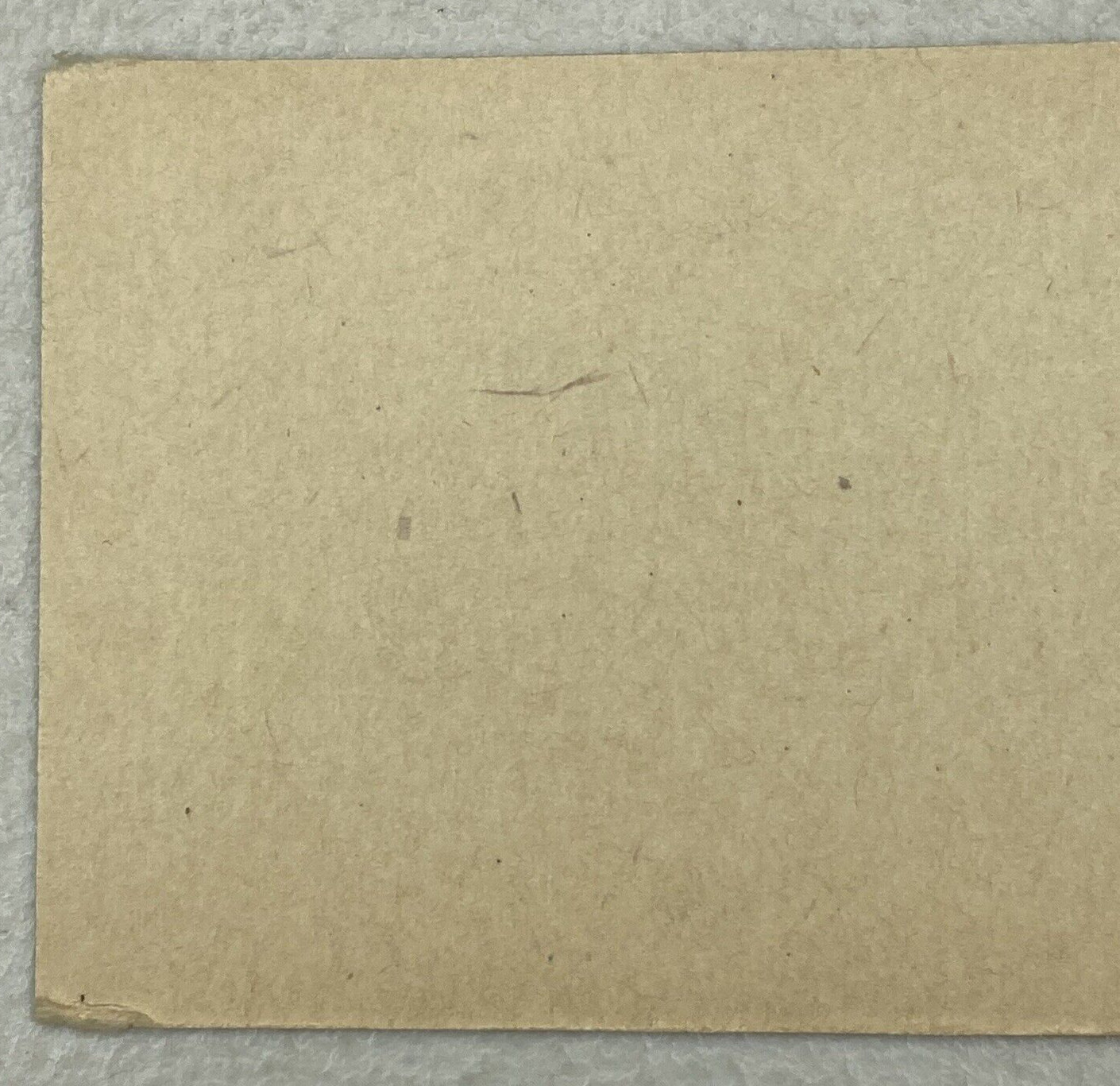 Vintage H.F. Norton Co Seattle Washington Raw Hides Furs Shipping Hang Tag Card 