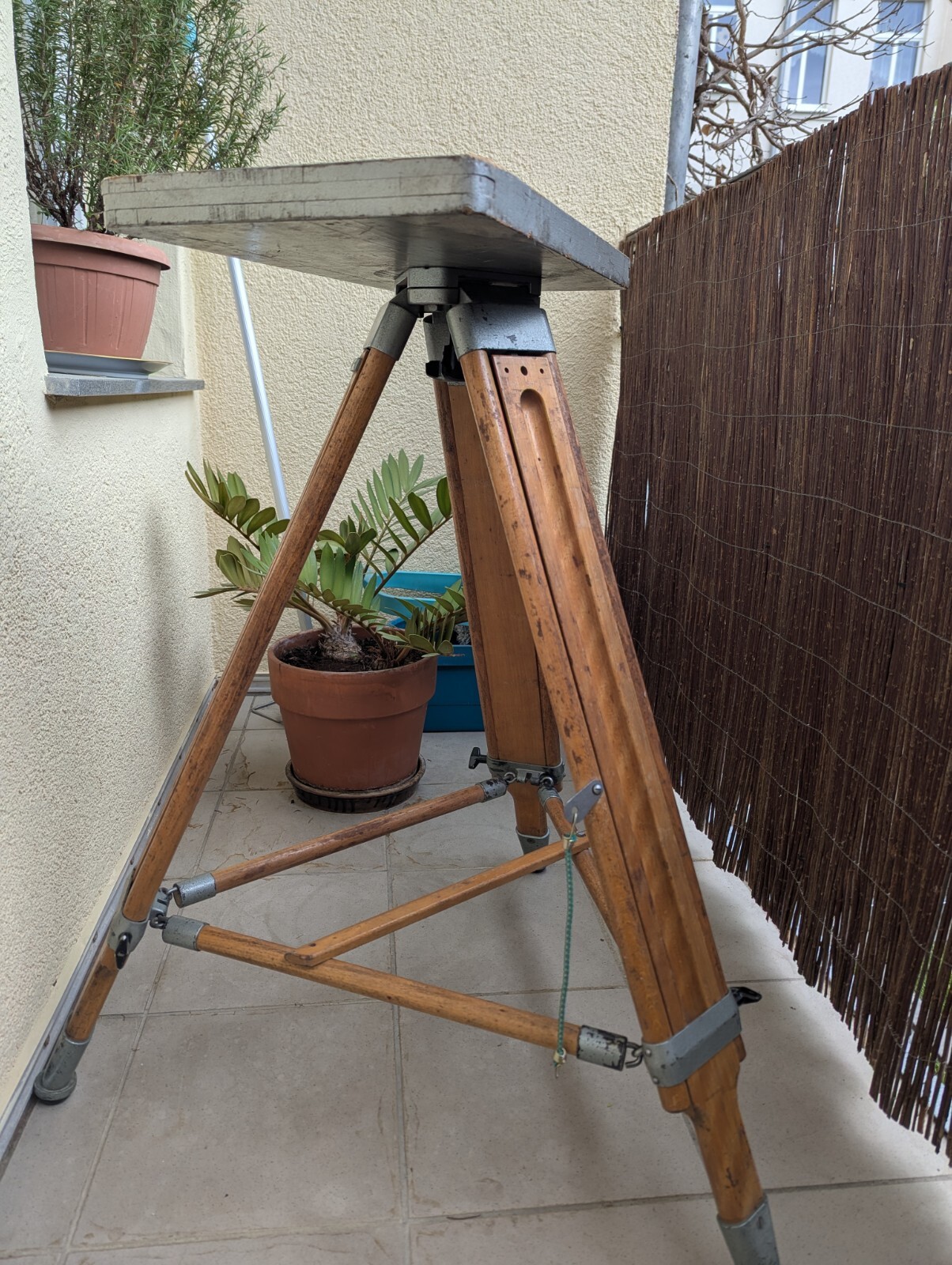 Foto 1 di 6