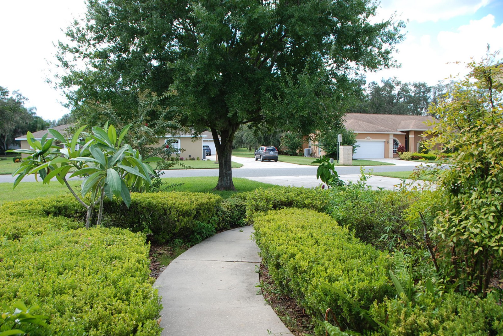 Picture 5 of 9