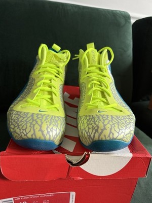 Size 12- Nike Air Flightposite Expose