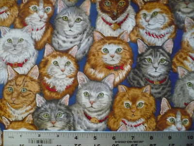  CAT KITTEN REAL VIP CATS COTTON FABRIC RARE QUILT FQ