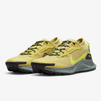 Nike Pegasus Trail 3 GTX Water Proof Running Shoes - DC8793 300