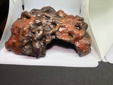 Arboreal Attitudes Small Weighted Ground Hides For Terrariums And Cages