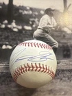 Matt Shaw Signed Official Major League Baseball Cubs Top Prospect Autographed