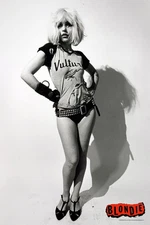 Blondie Poster Vultures Punk Rock Debbie Harry Cool Wall Art Print Poster 12x18