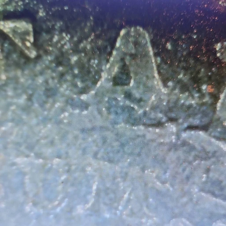 RARE FIND ERROR COLLECTORS HERE A 1910 V Nickel Plz Look @all Pics Must See - Image 4 of 4