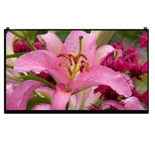 New Genuine Lg Gram 15z95n 15.6 Lcd Screen Display Edp 30pin Fhd 1920x1080