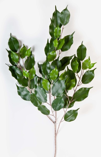 Artplants KüNstlicher Ficus Exotica Zweig Sunil, 55 GrüNe BläTter, 75Cm-image