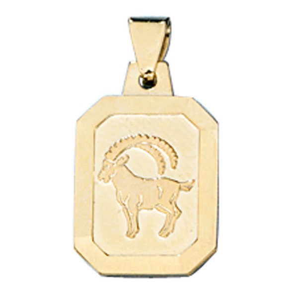 Sternzeichen Steinbock, GoldanhäNger AnhäNger, 333 Gold, Halsschmuck, Unisex-image