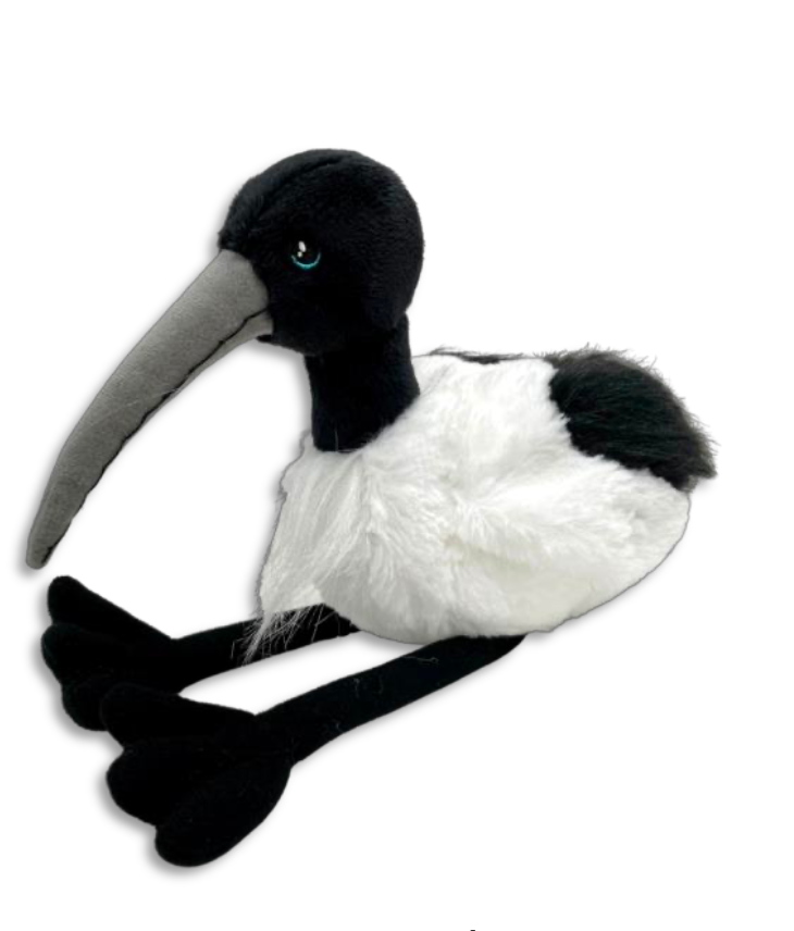 squishmallow grapefruit