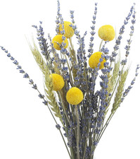 Dried Flowers Bouquet Dried Wheat Stalks Bundle Natural Lavender Dried Flowers C