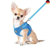 Feimax Hundegeschirr Mit Leine FüR Kleine Mittele Hunde Katzen Weich Mesh