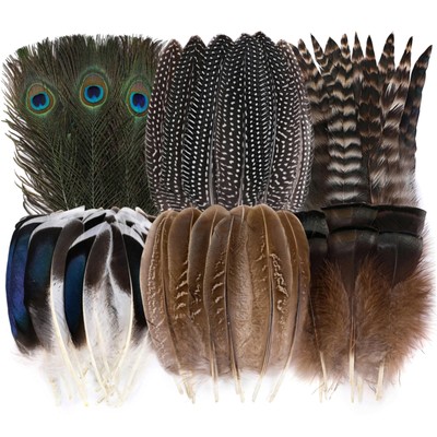 48pcs Natural Feathers Bulk - 6 Styles 48pcs Assorted Natural Feathers, Peaco...