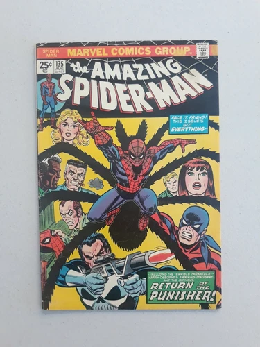Amazing Spiderman 135 Marvel Comics 2nd Punisher 1974 Spider-man
