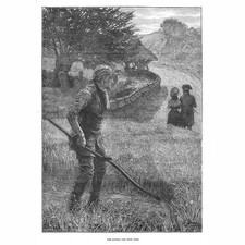 Victorian Agricultural Worker: The Mower July - Antique Print 1880