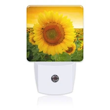 Plug in Night Lights Sunset Sunflower Field Nightlight Plug Into Wall Dusk to...