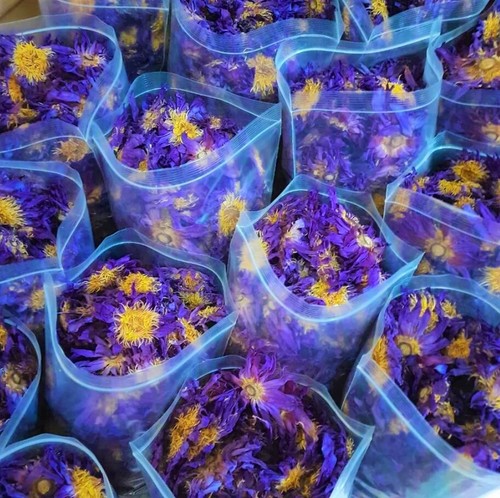 Blue Lotus Flower (Nymphaea Caerulea) Dried Organic Flowers Egyptian 10Kg Fast✈️