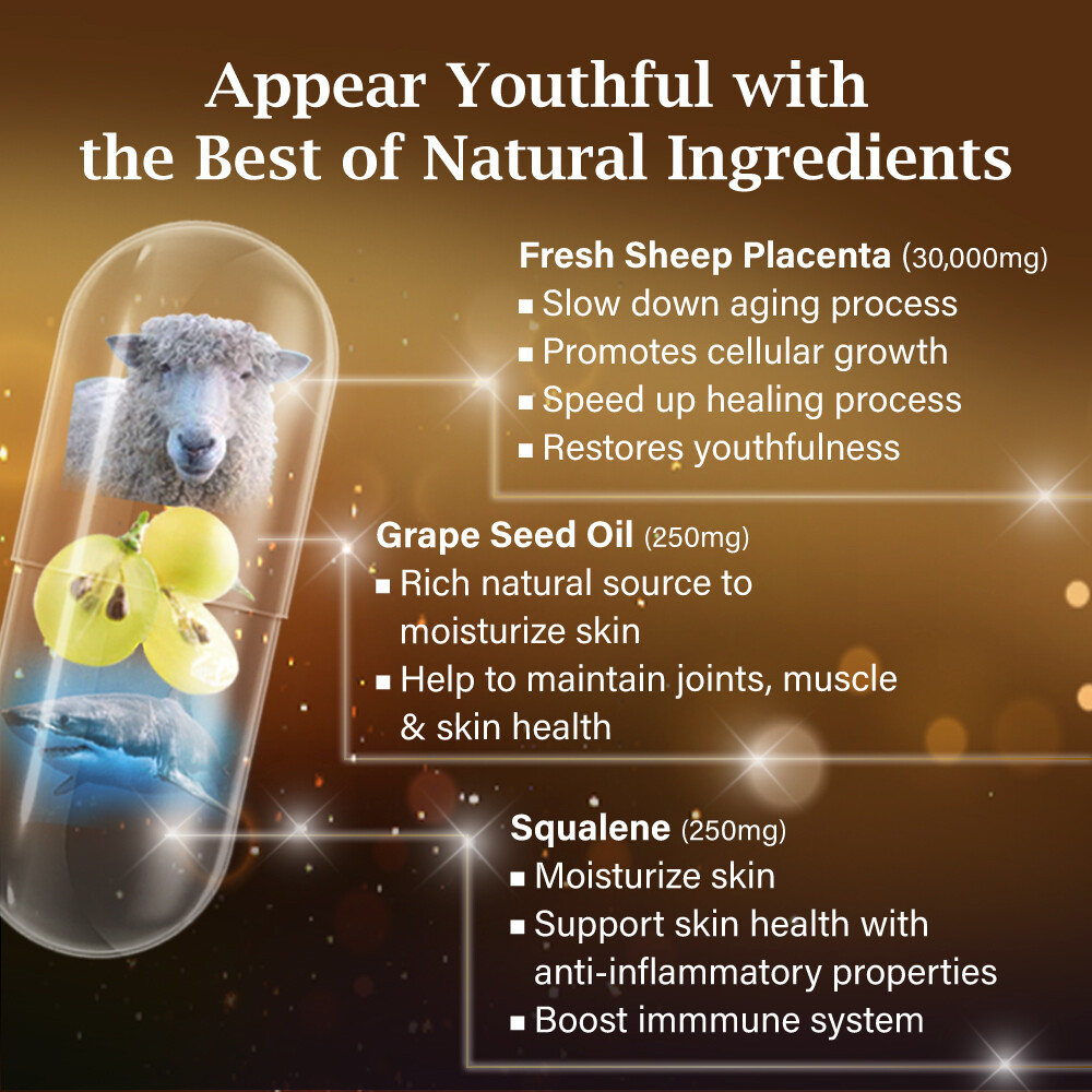 セール！FATLOSS 210 Tablets 2箱 セール！FATLOSS 210 Tablets 2箱