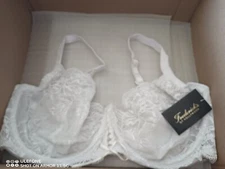 fredericks of hollywood bra