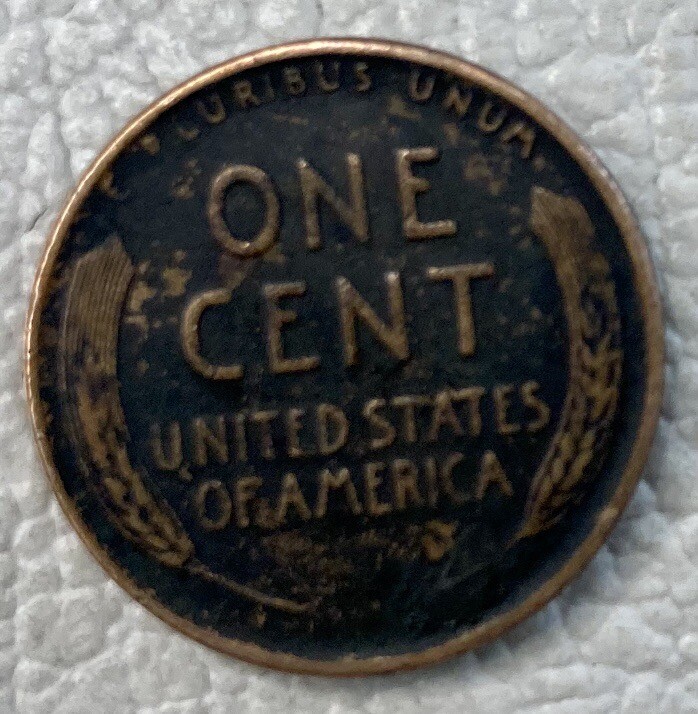 penny 黒 1059427_08.jpg.jpeg?width=750