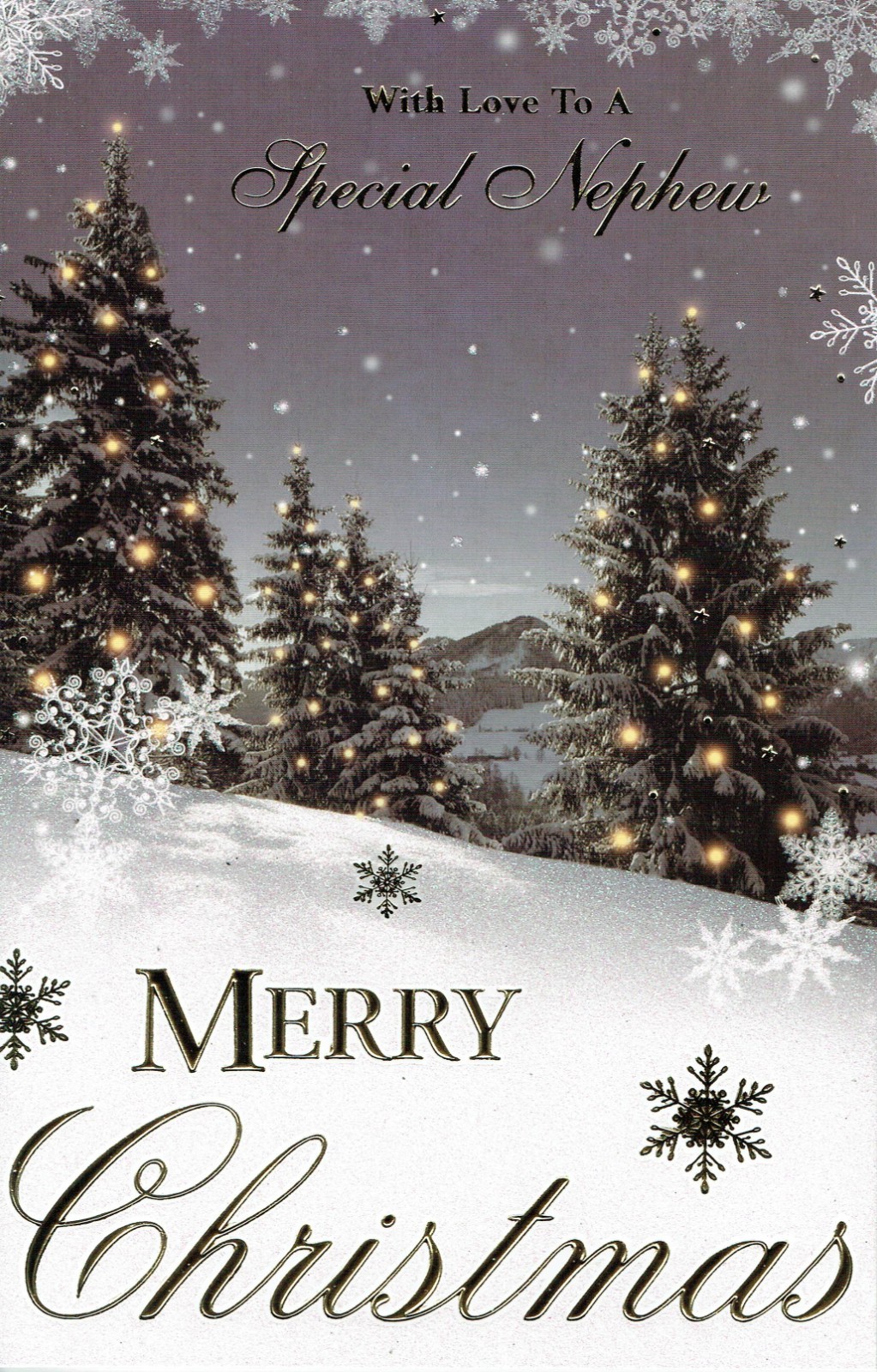 NEPHEW Christmas Card - Quality Large Card Snow Scene Design