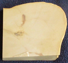 Thick Marble Slab -  Cream - 632 Grams - 1.25+ lbs - Arizona - End Cut
