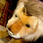 Beautiful Lion Plush Stuffed Animal Toy Realistic   16” Very Good Condition — photo 7