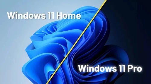 Windows 11 Famille/Pro
