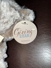 Small Giving Bear Love Plush Demdaco Loveable Huggable Always in my Heart 8.5 — photo 8