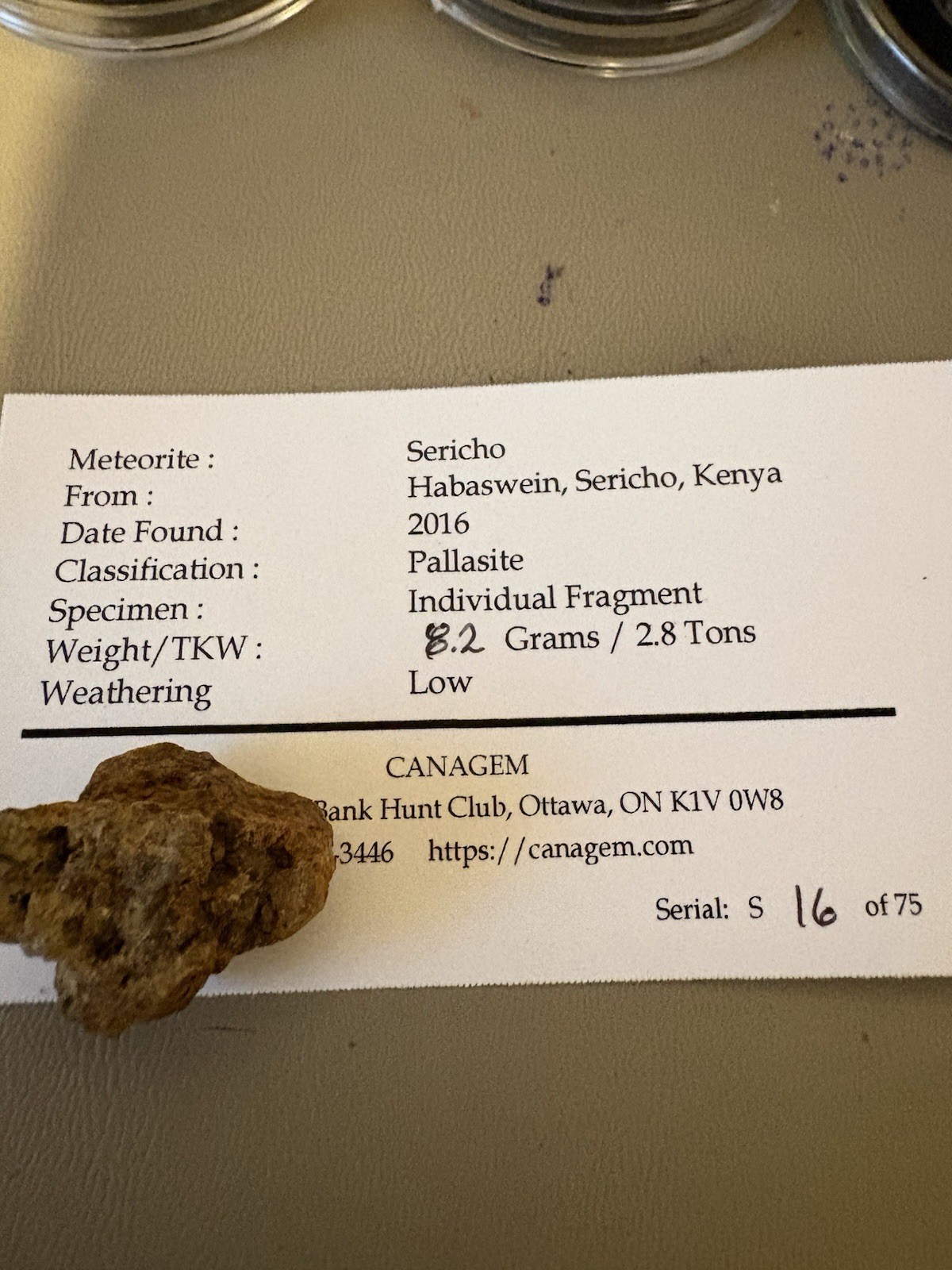 8.2 Grams  SERICHO Pallasite Meteorite  - TOP METEORITE #16 Of 75