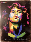FREE SHIPPING! BUY or make OFFER B4 it’s SOLD! Jim Morrison 12x16 TIN SIGN Bx12