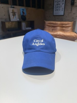Corridor NYC Hat