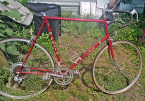 Fuji  Royale Road Bike - 12 Speed Suntour --- Lightweight frame Ukai Rims