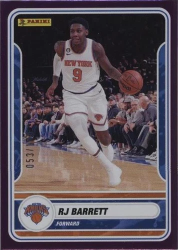 2023-24 Panini Sticker & Card Collection - RJ Barrett #70