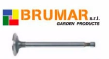 261044 BRIGGS & STRATTON 4 5 HP ENGINE INTAKE VALVE OLD TYPE
