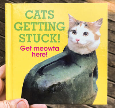 Cats Getting Stuck! by No Author Details (Hardback, 2017)