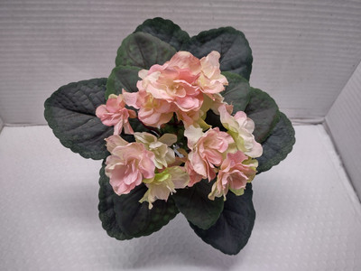 8'' Artificial African violet (Pink With Green Edge) without pot