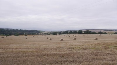 Foto 6x4 Stoppeln, Stein von Morphie Hillside\/NO7061 Ackerland auf der K c2017