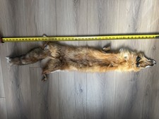 Tanned Red Fox Fur Pelt Hide Soft Natural Fur Craft Taxidermy Rustic Decor