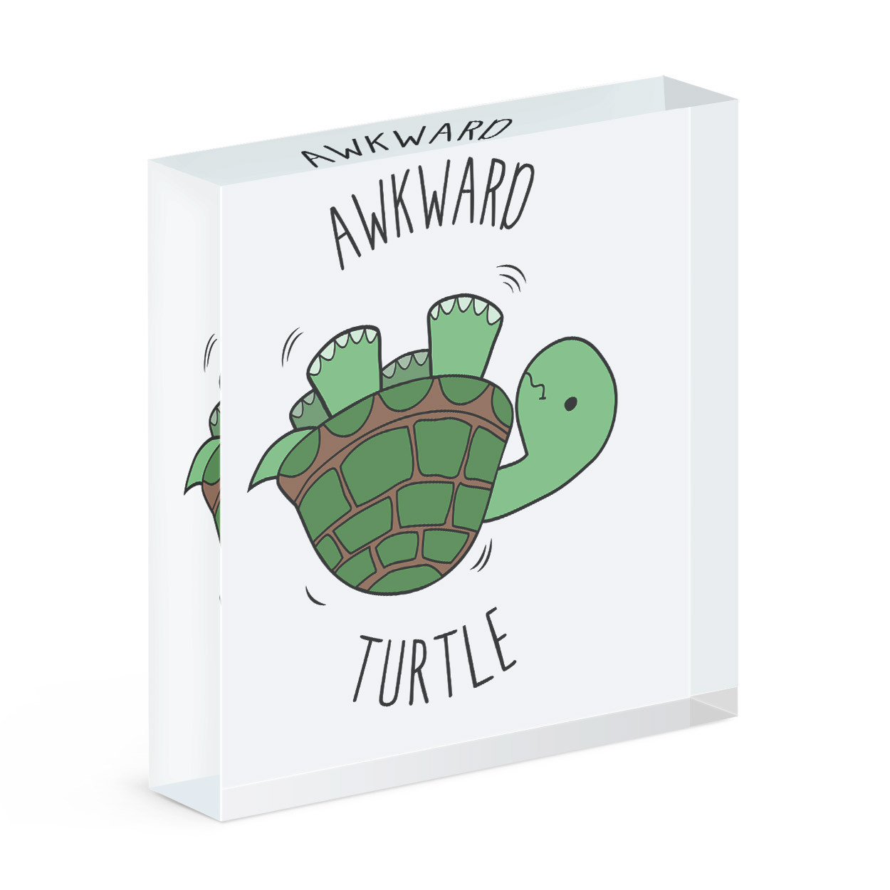 Awkward Turtle Acrylic Photo Block Frame Funny Joke