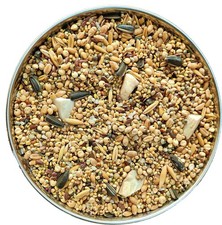 Mezcla de semillas de Quentova de 9 granos y nueces, fortificadas con alimento para aves espirulina