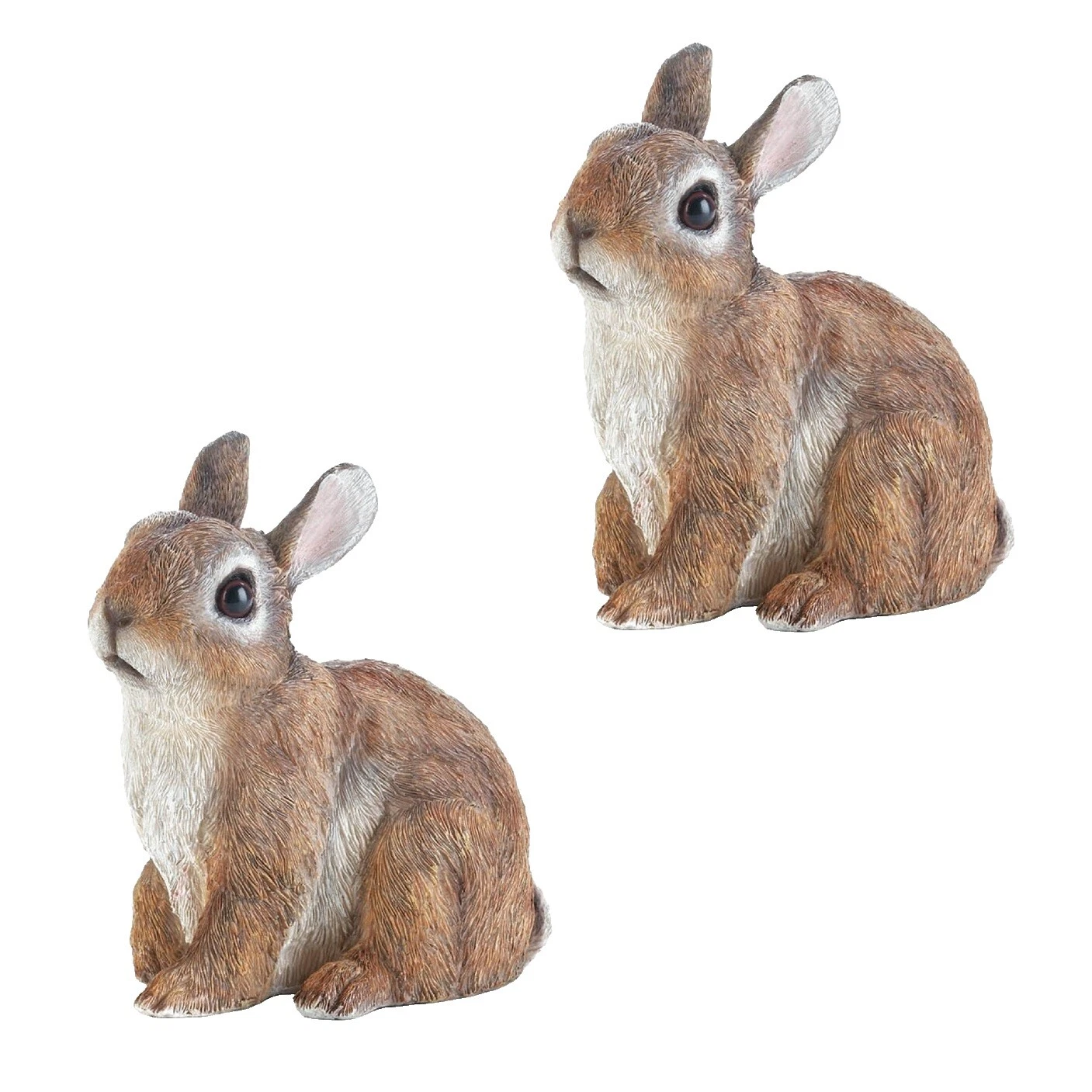 Decoración Marrón resina Shelf sitters