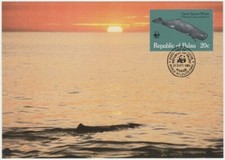 Palau Maxi 1983, Great Sperm Whale (Physeter macrocephalus) mint
